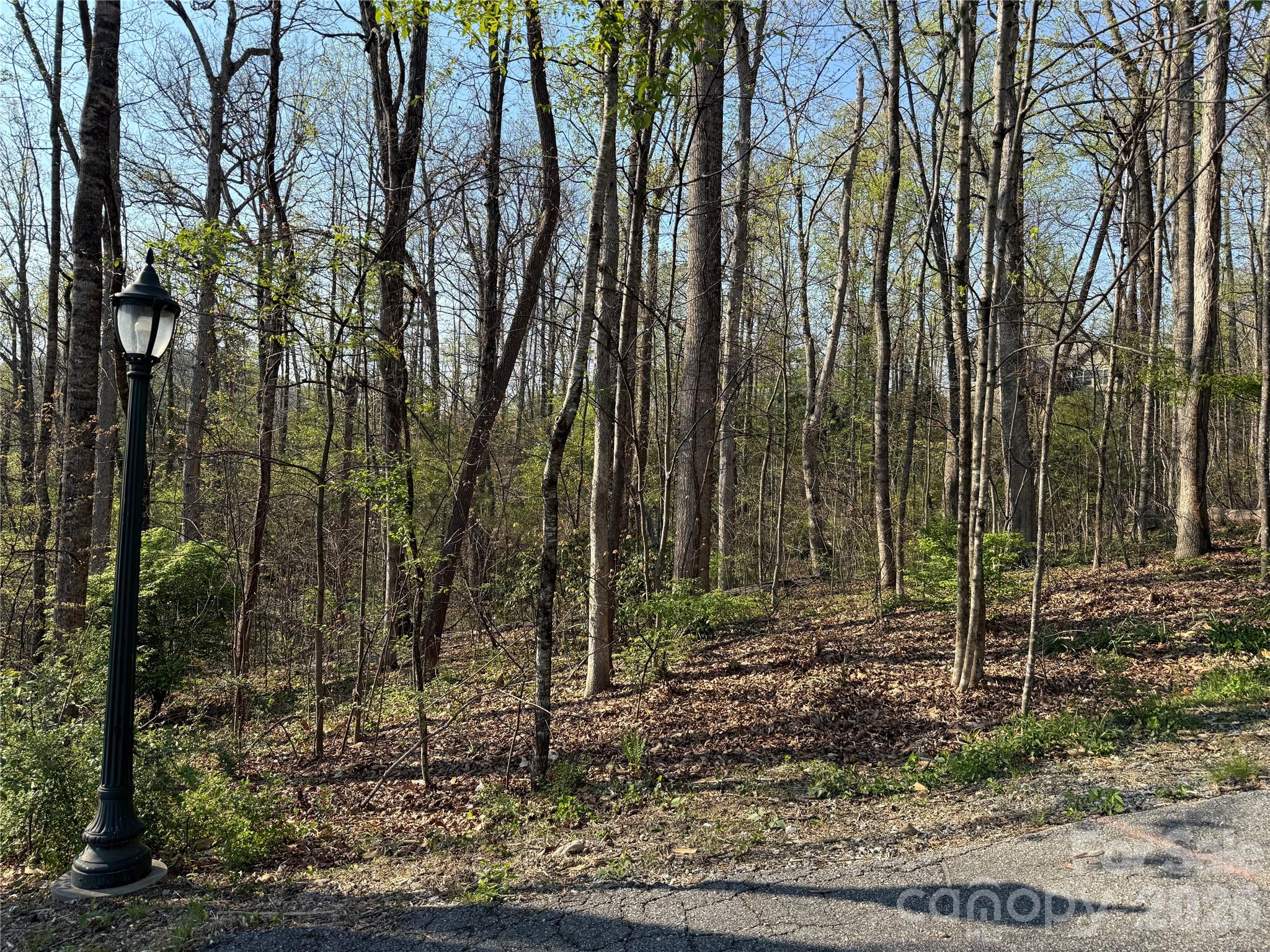 000 Woodlyn Etch Drive Hendersonville NC 28792