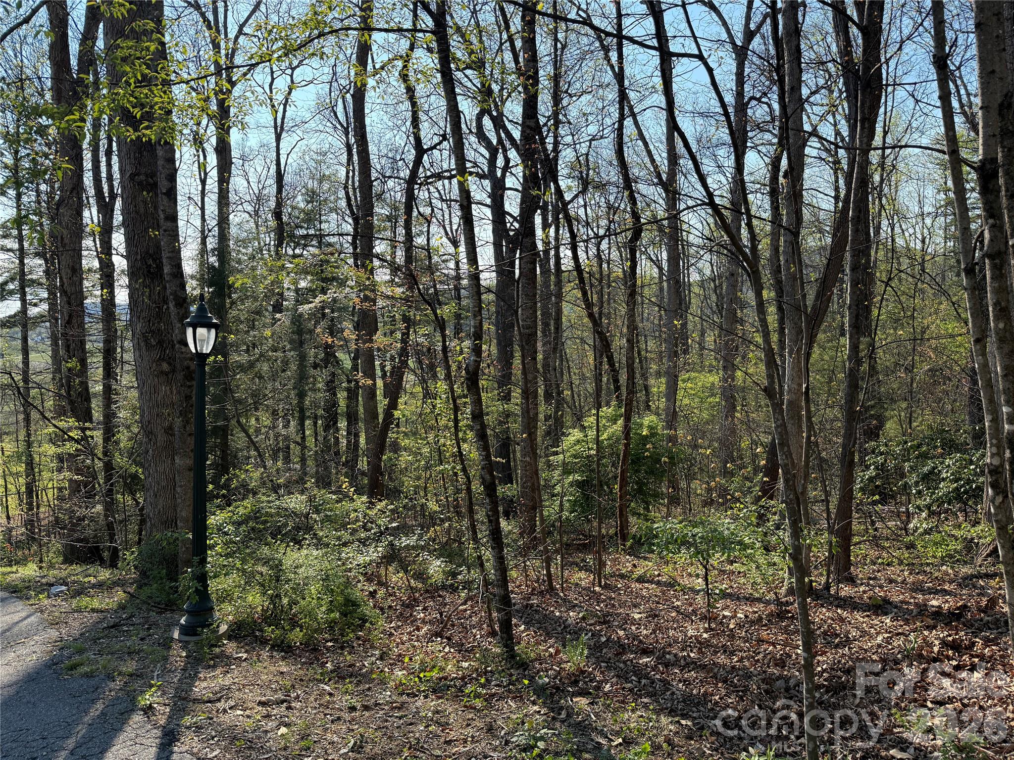 000 Woodlyn Etch Drive Hendersonville NC 28792