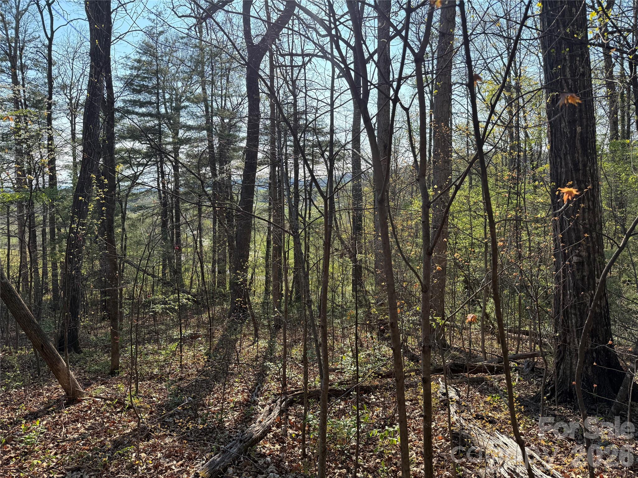 000 Woodlyn Etch Drive Hendersonville NC 28792