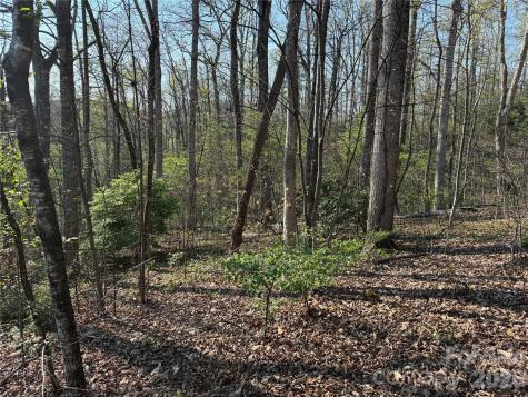 000 Woodlyn Etch Drive Hendersonville NC 28792