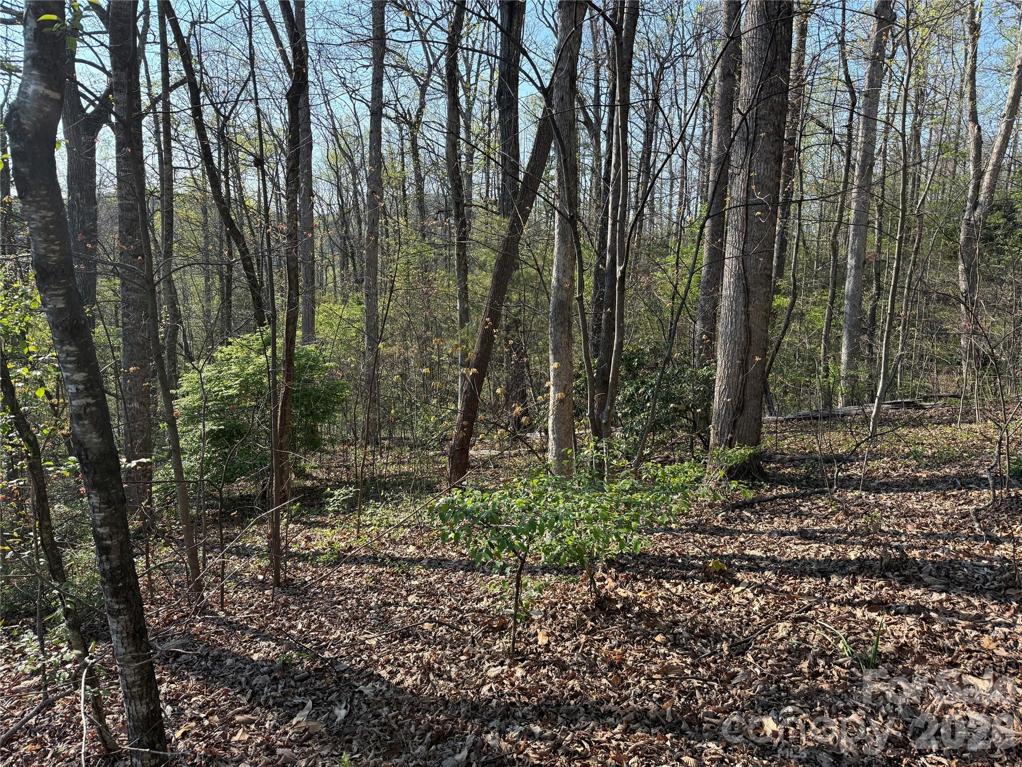000 Woodlyn Etch Drive Hendersonville NC 28792