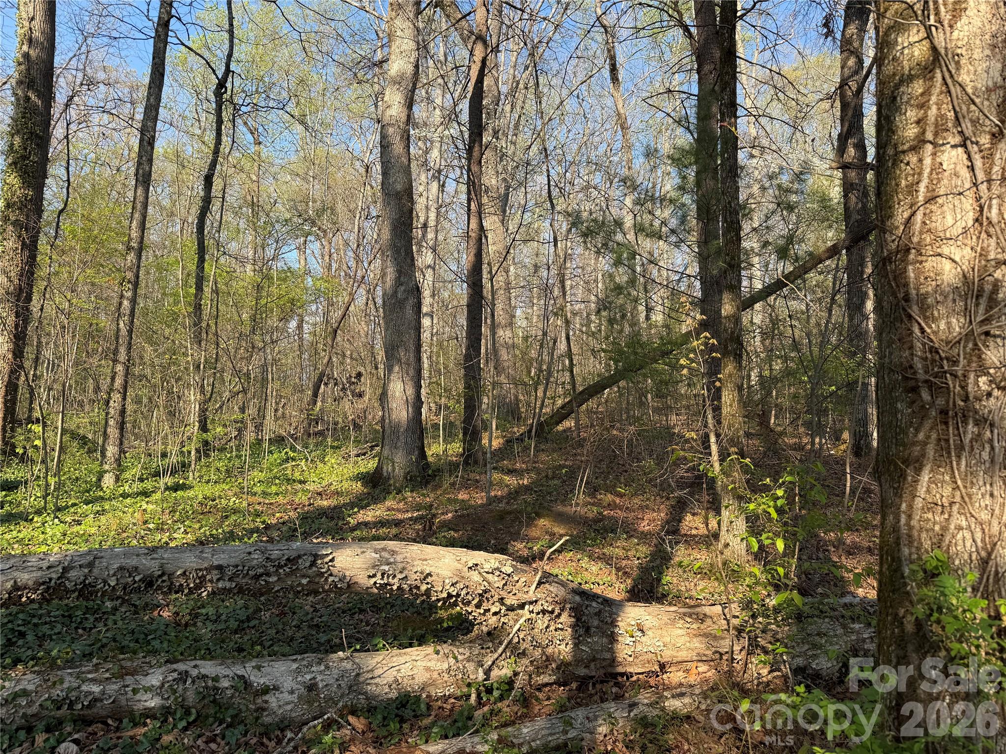 000 Woodlyn Etch Drive Hendersonville NC 28792