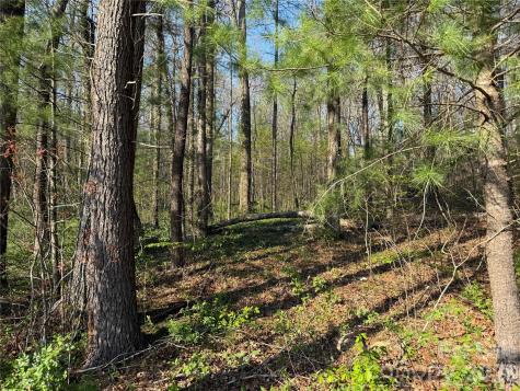 000 Woodlyn Etch Drive Hendersonville NC 28792