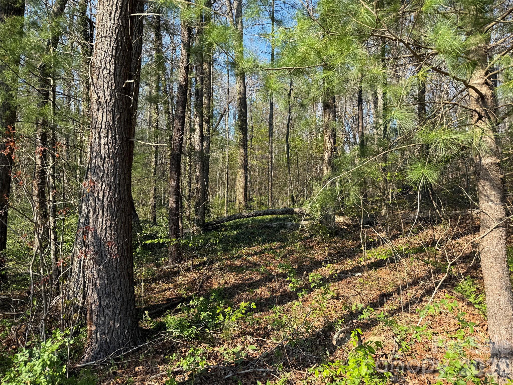 000 Woodlyn Etch Drive Hendersonville NC 28792