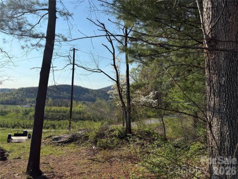 000 Woodlyn Etch Drive Hendersonville NC 28792