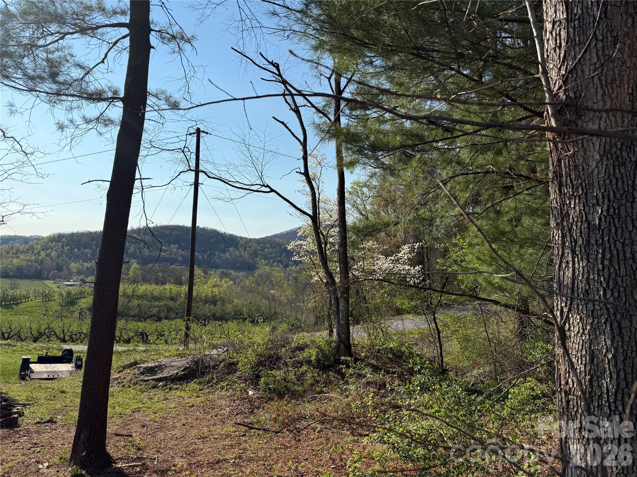 000 Woodlyn Etch Drive Hendersonville NC 28792