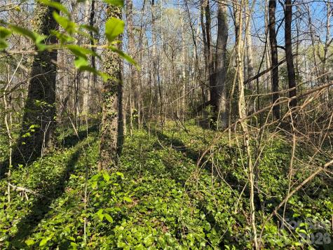 000 Woodlyn Etch Drive Hendersonville NC 28792