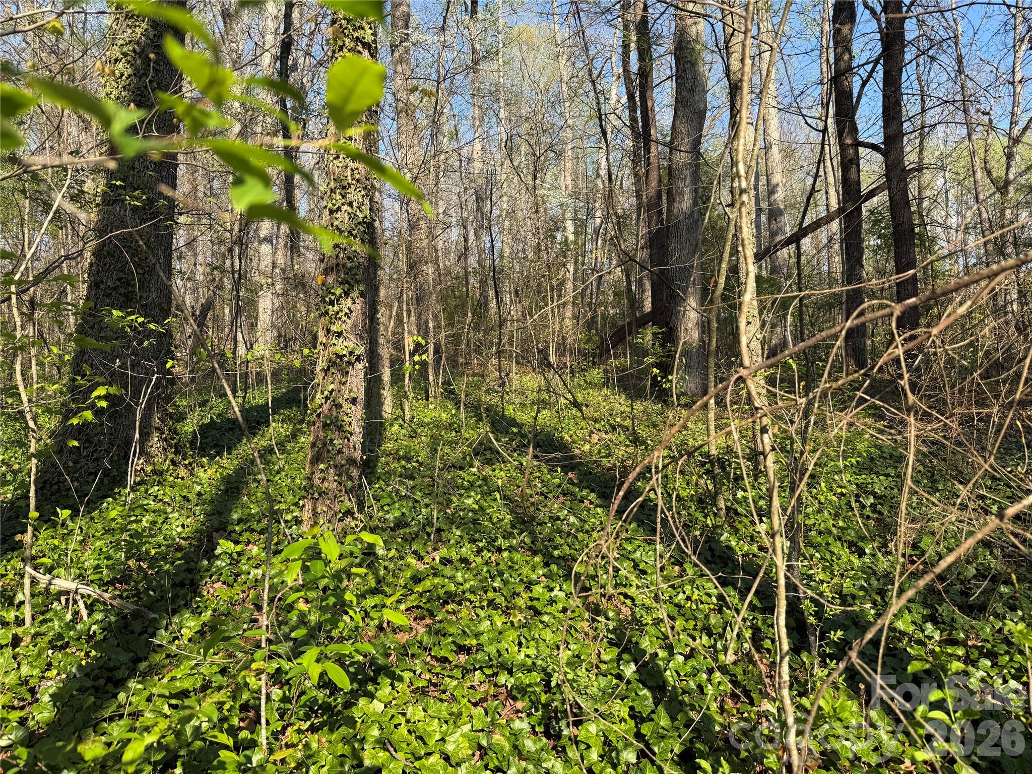 000 Woodlyn Etch Drive Hendersonville NC 28792