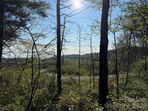 000 Woodlyn Etch Drive Hendersonville NC 28792