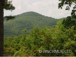 1710 Quiet Hills Lane Arden NC 28704