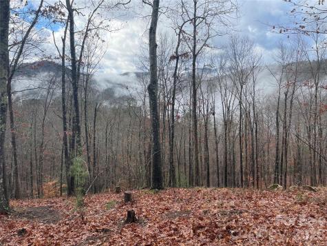 75 Wild Turkey Loop Marshall NC 28753
