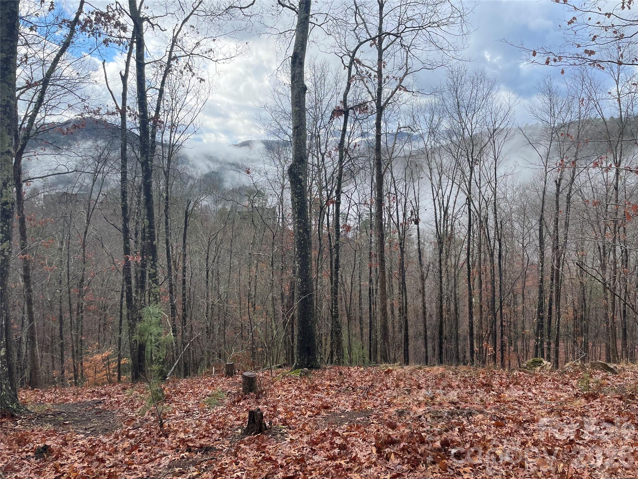 75 Wild Turkey Loop Marshall NC 28753