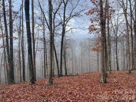 75 Wild Turkey Loop Marshall NC 28753