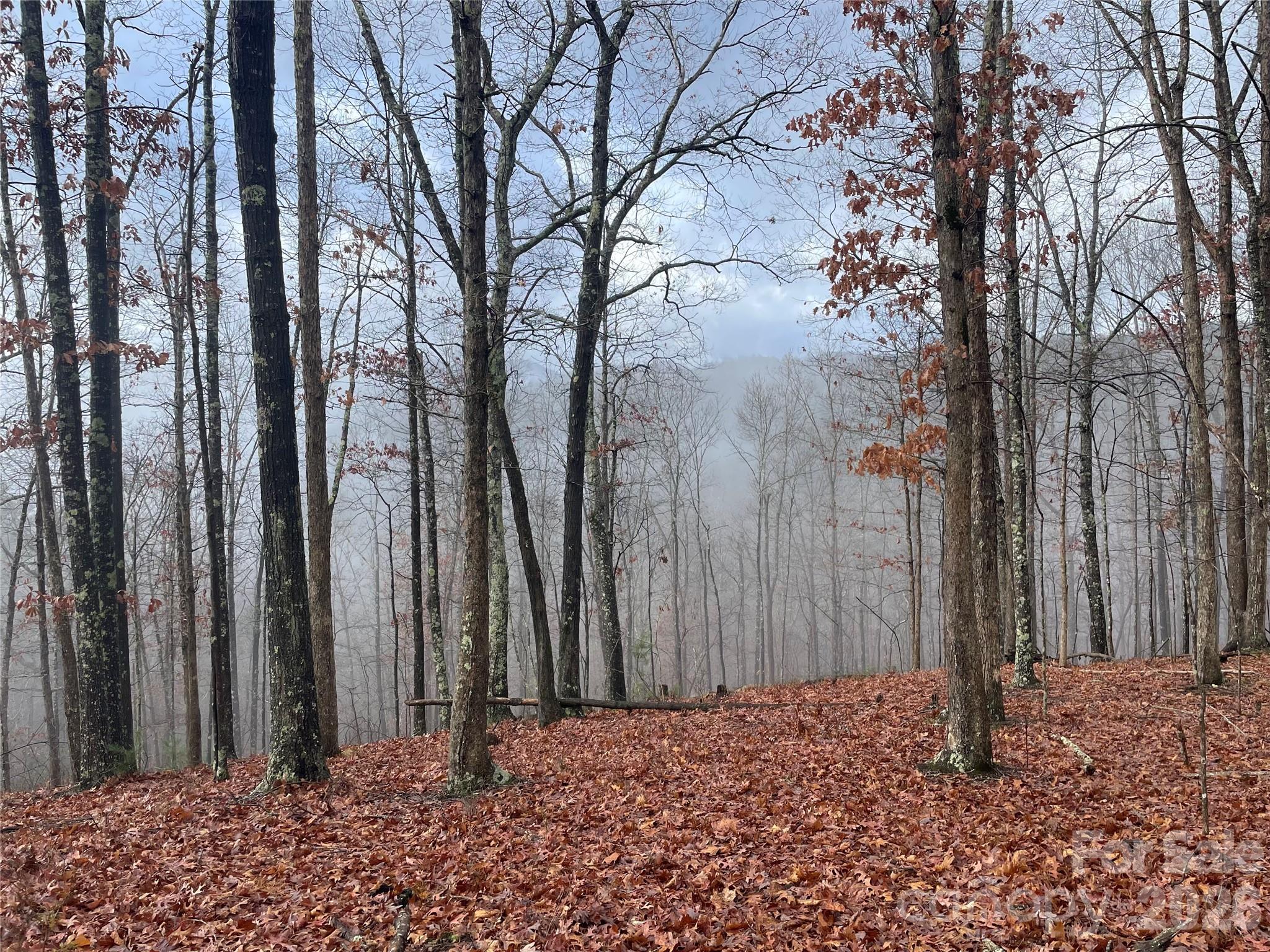 75 Wild Turkey Loop Marshall NC 28753