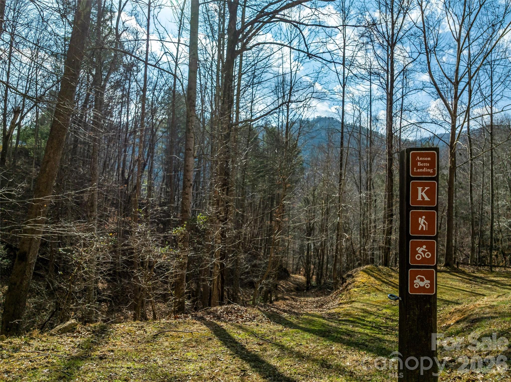 75 Wild Turkey Loop Marshall NC 28753