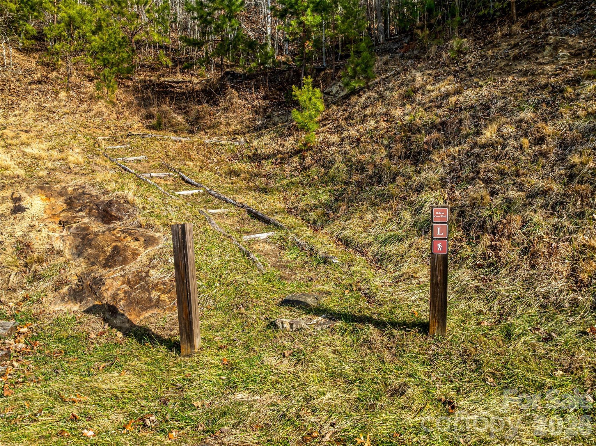 75 Wild Turkey Loop Marshall NC 28753