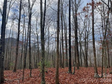 75 Wild Turkey Loop Marshall NC 28753