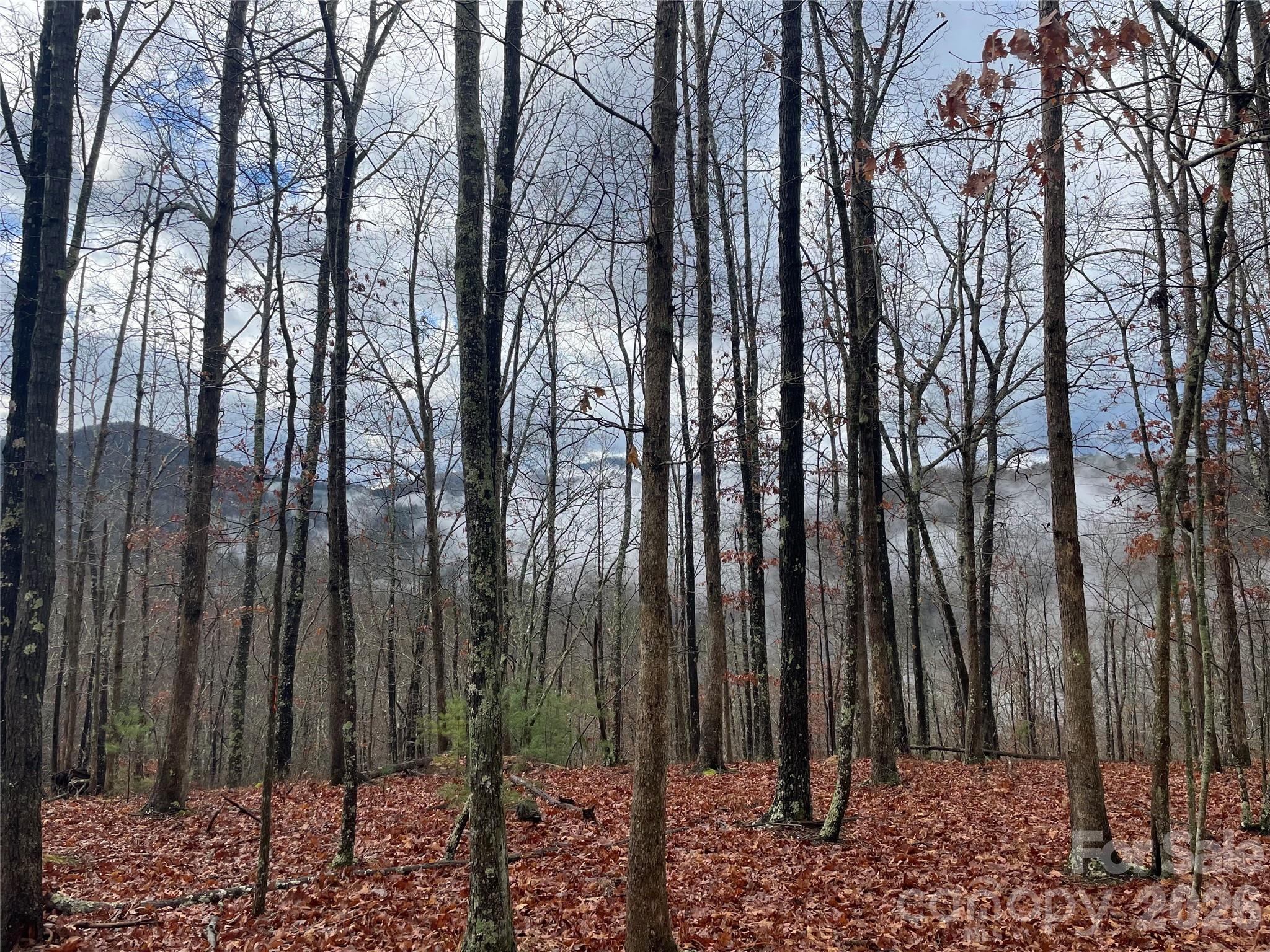 75 Wild Turkey Loop Marshall NC 28753