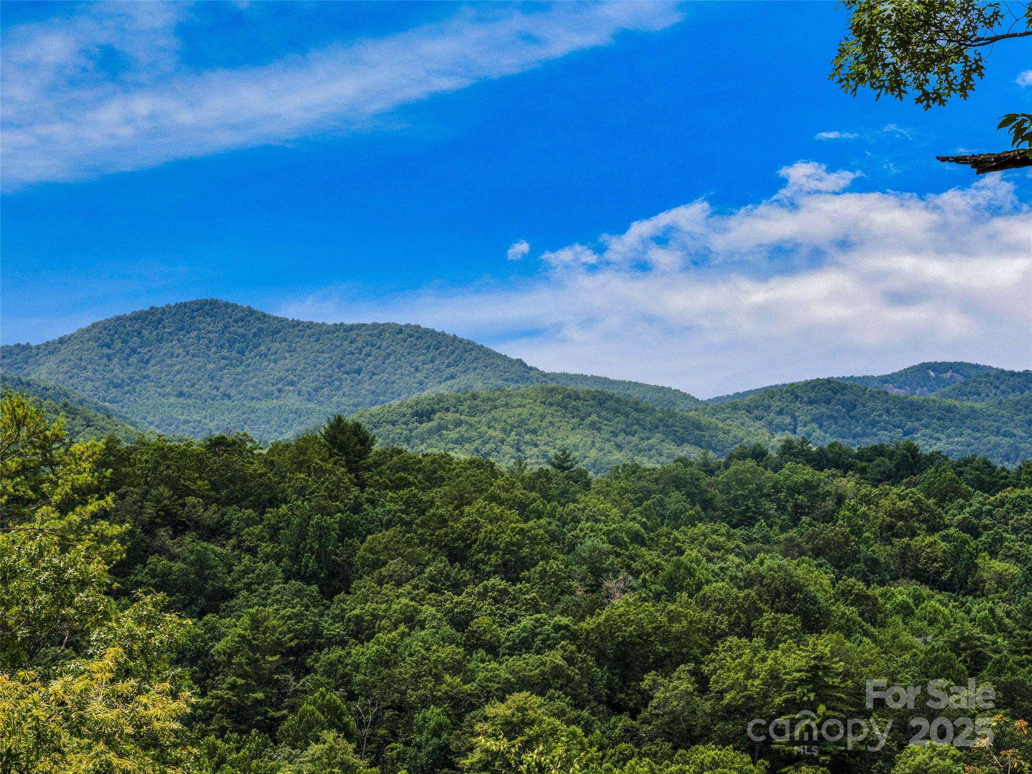 Lot 10 South Hill Drive Brevard NC 28712