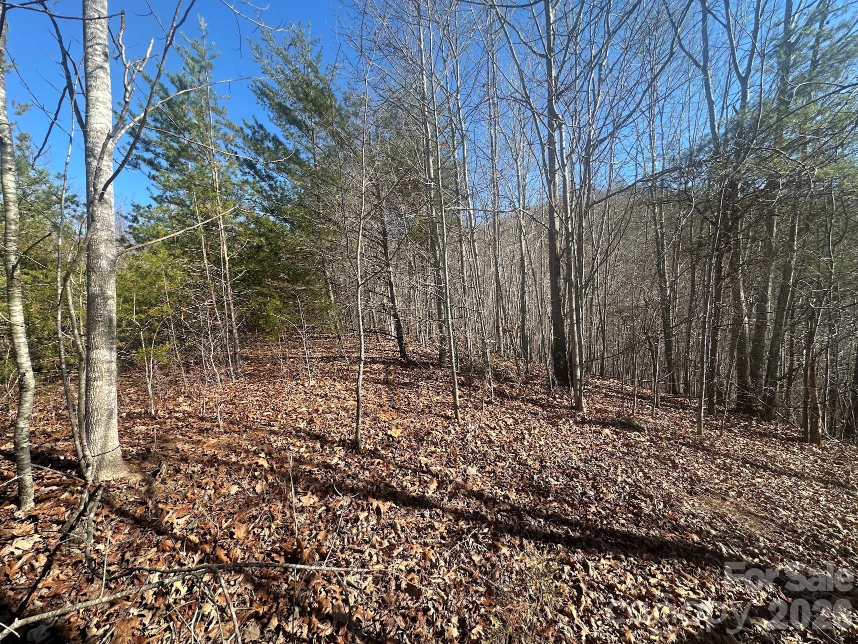 127 Robinwood Trail Bostic NC 28018