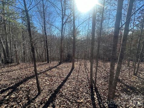 127 Robinwood Trail Bostic NC 28018