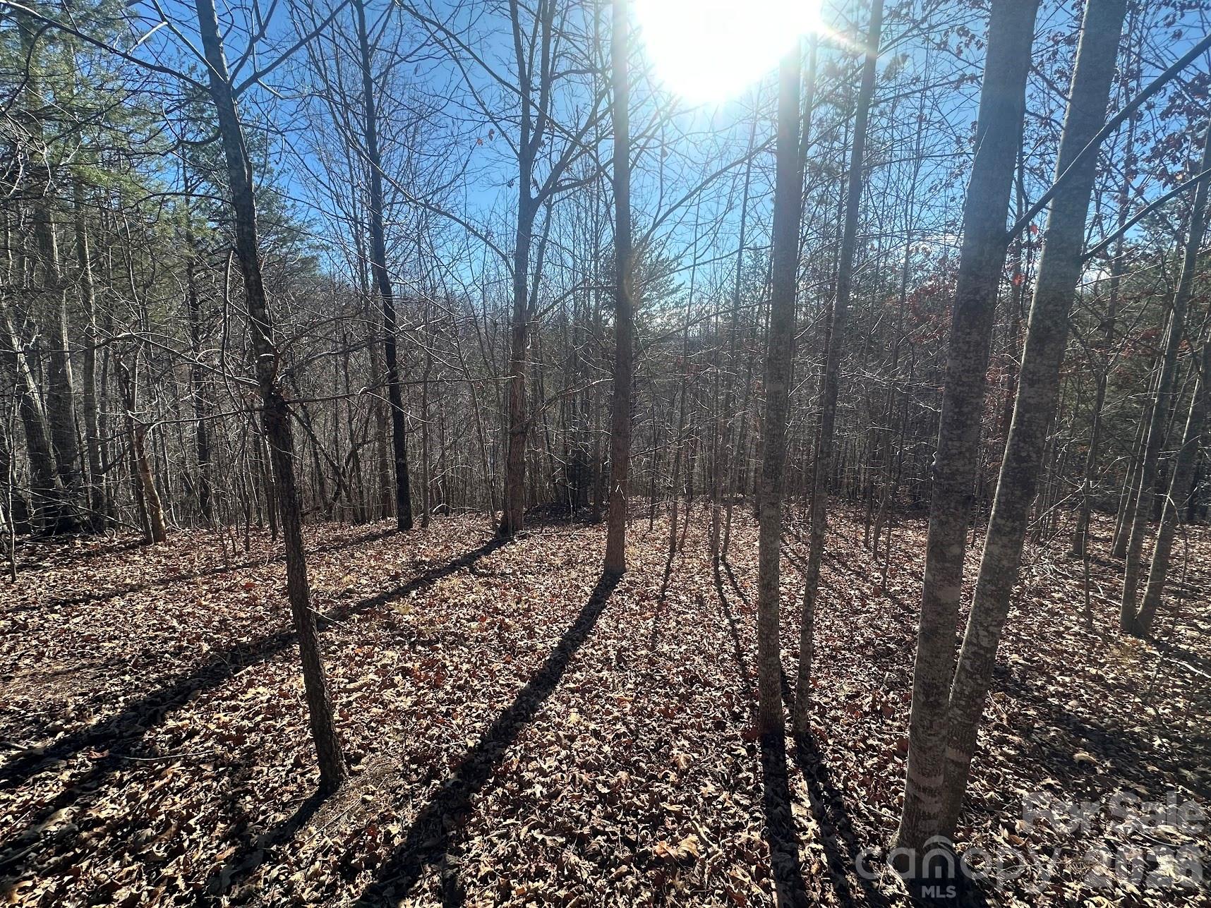 127 Robinwood Trail Bostic NC 28018