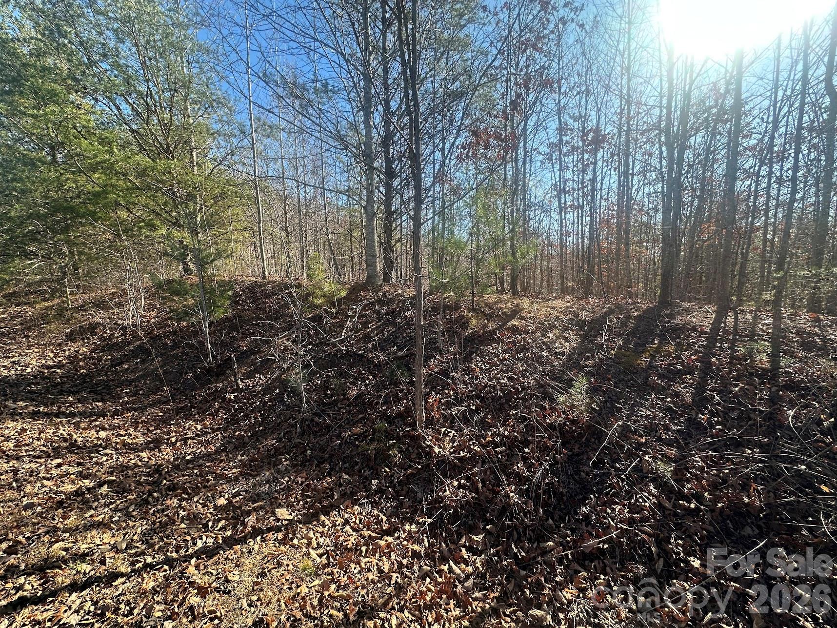 127 Robinwood Trail Bostic NC 28018