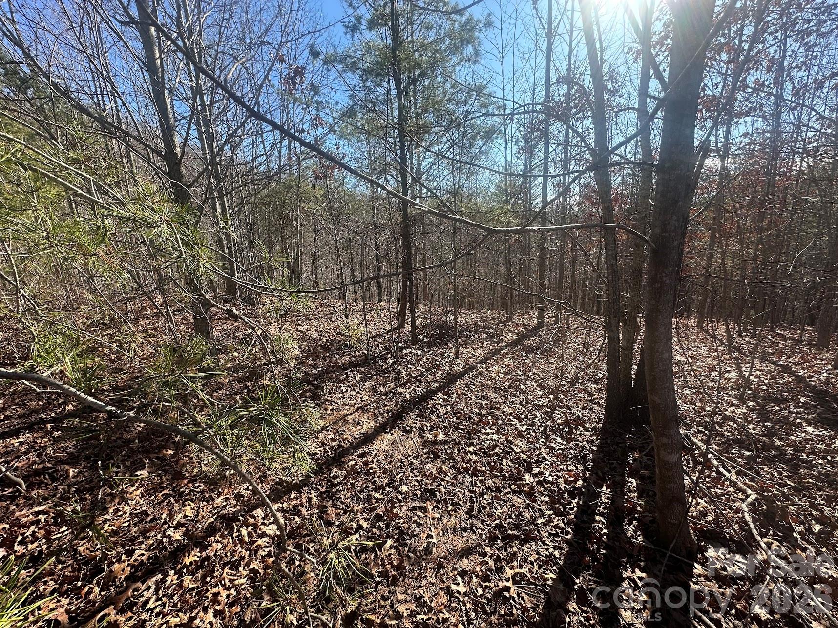 127 Robinwood Trail Bostic NC 28018