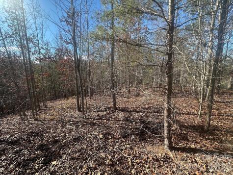 127 Robinwood Trail Bostic NC 28018