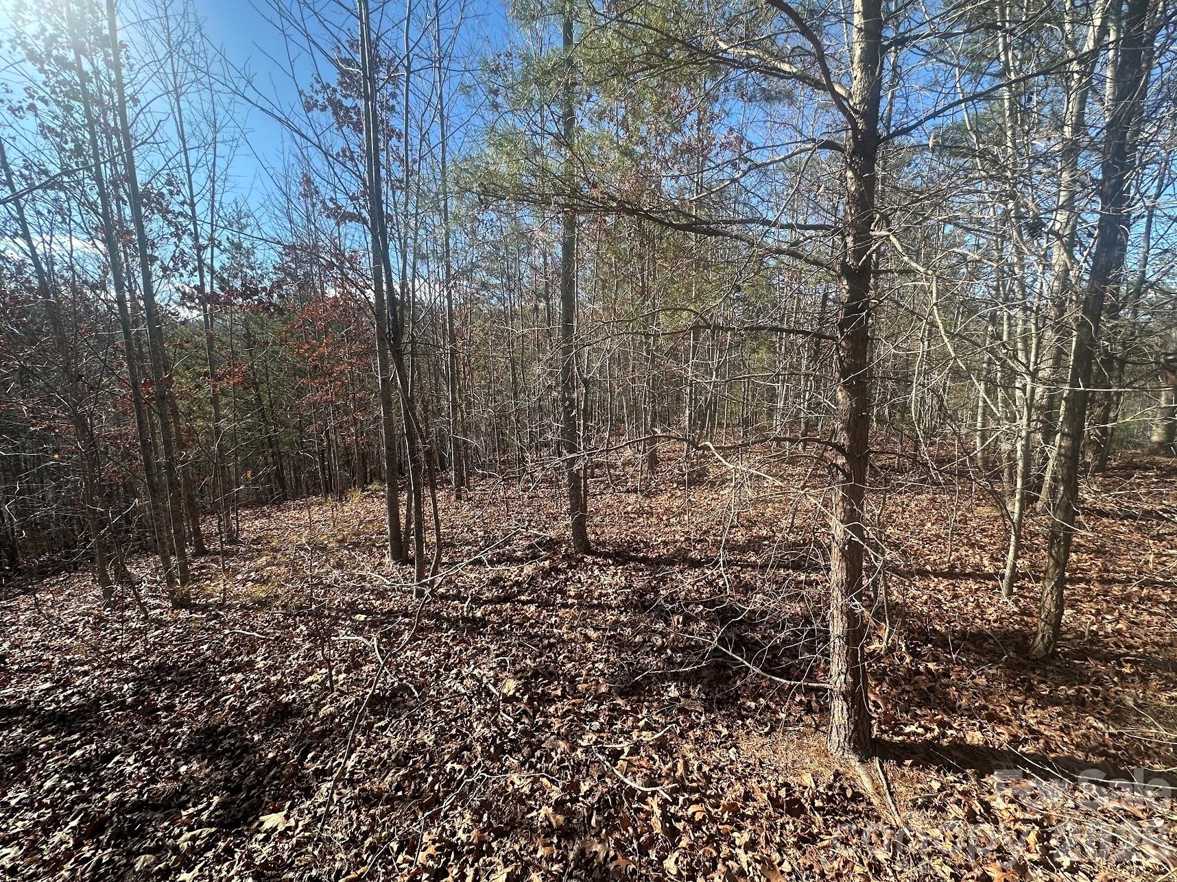 127 Robinwood Trail Bostic NC 28018