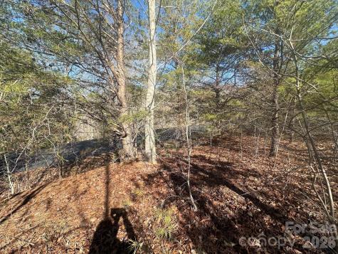 127 Robinwood Trail Bostic NC 28018