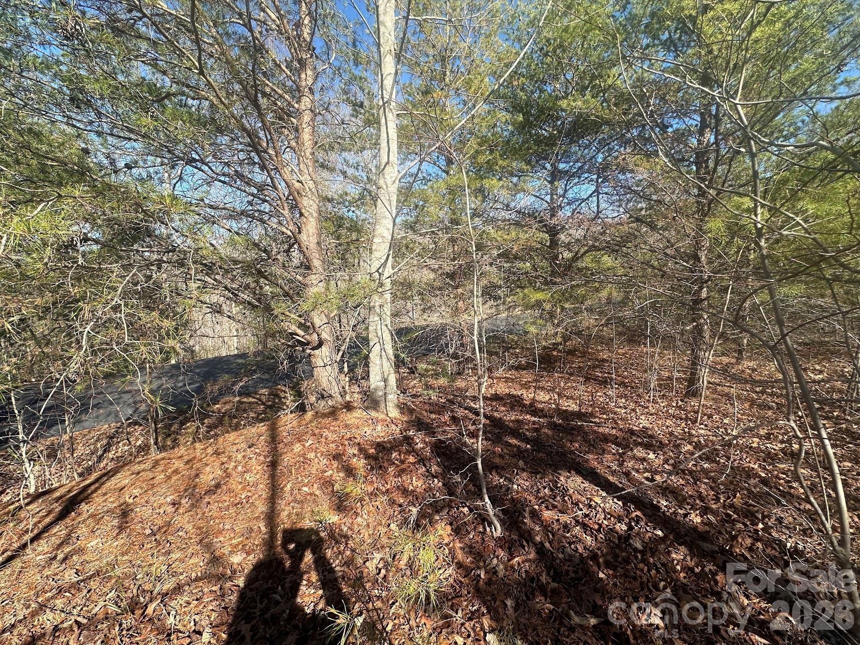 127 Robinwood Trail Bostic NC 28018