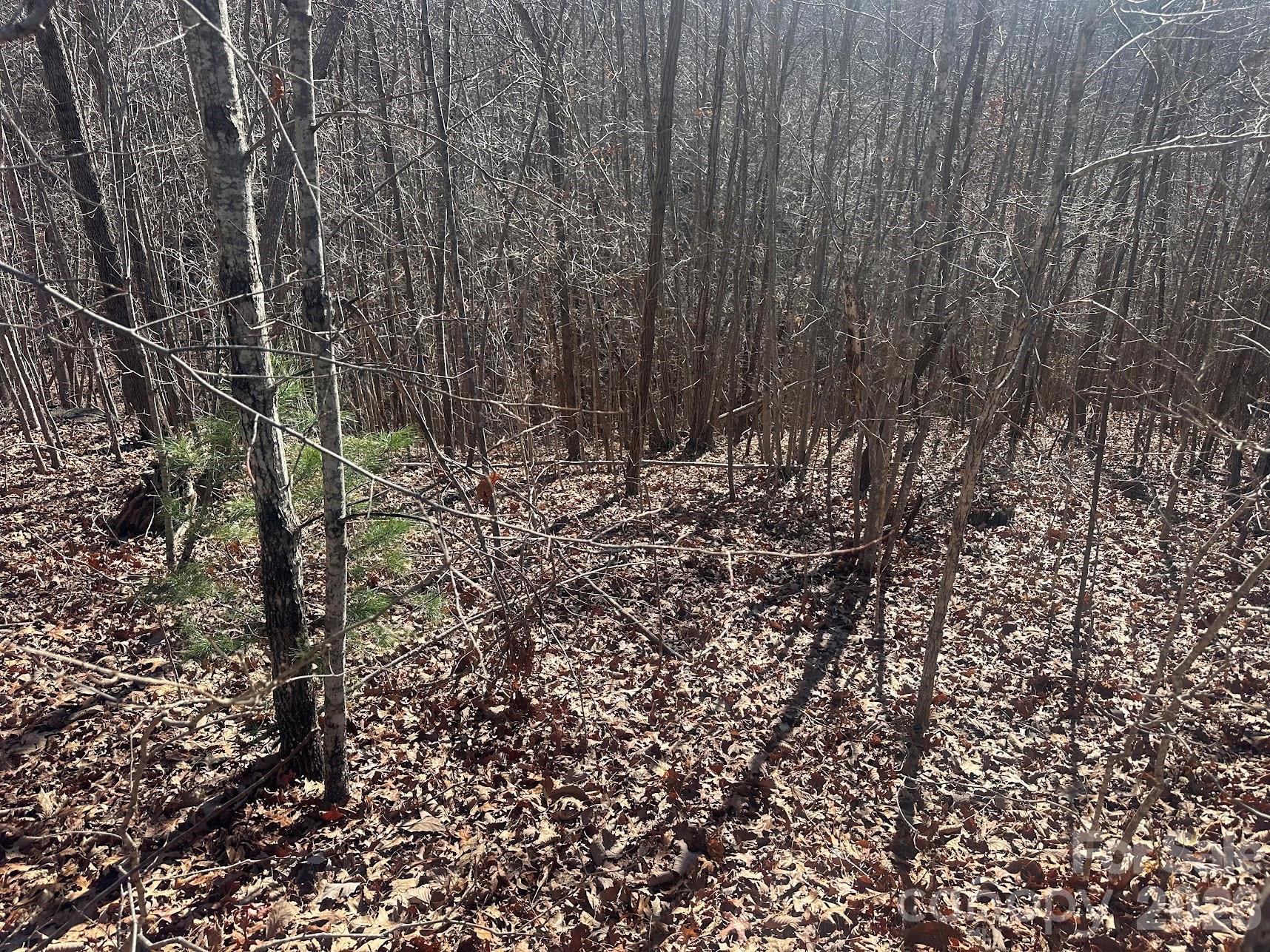 127 Robinwood Trail Bostic NC 28018