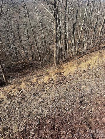 127 Robinwood Trail Bostic NC 28018
