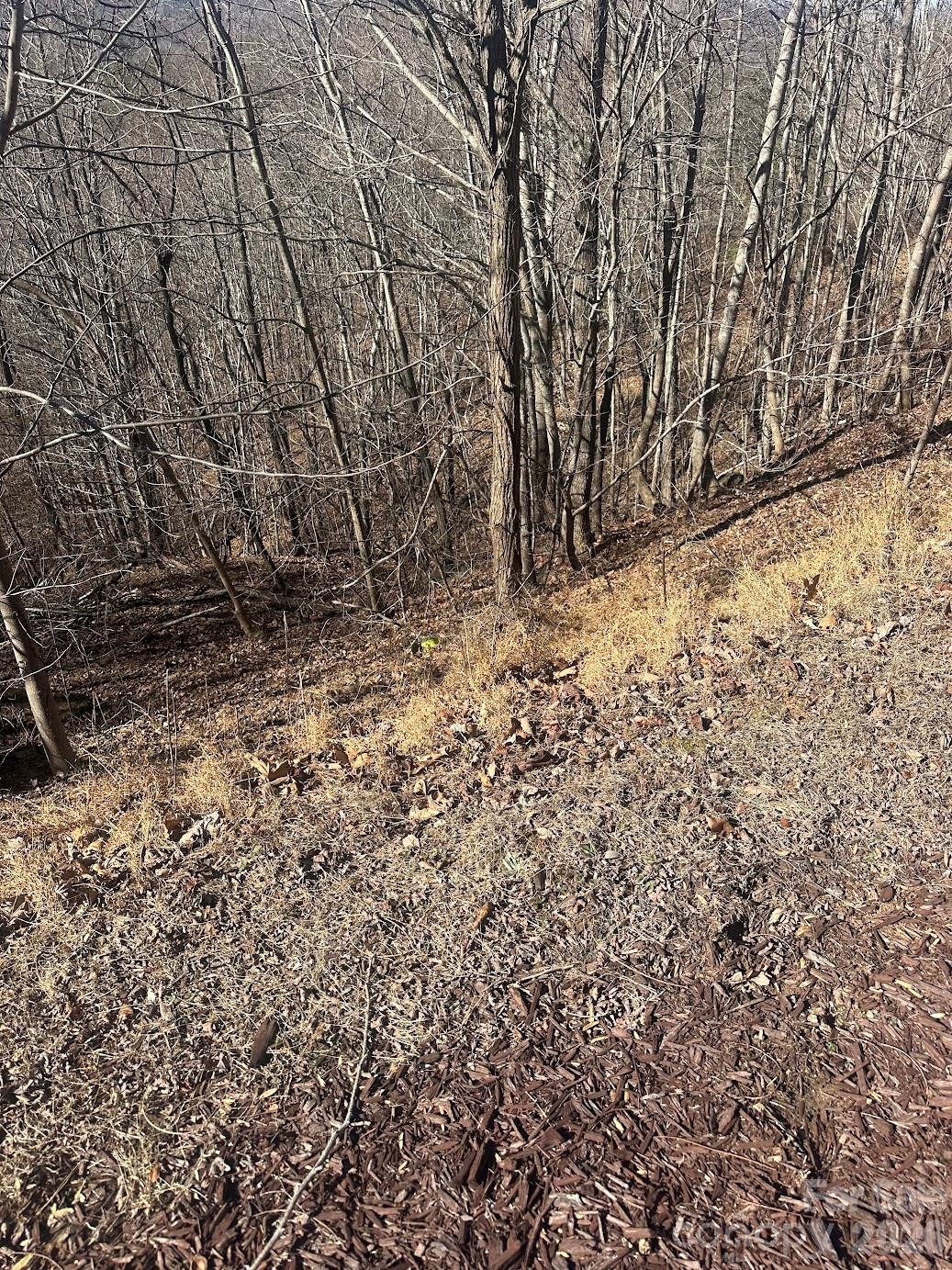127 Robinwood Trail Bostic NC 28018