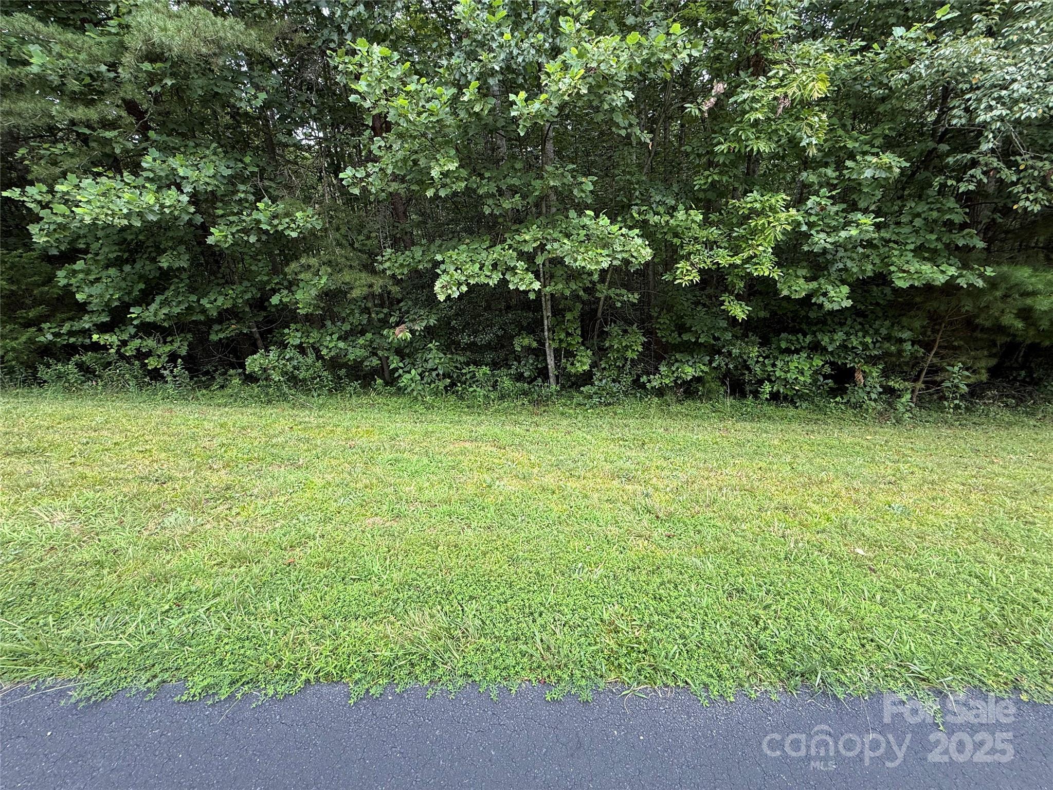 Lot 25 Zinzendorf Lane Moravian Falls NC 28654