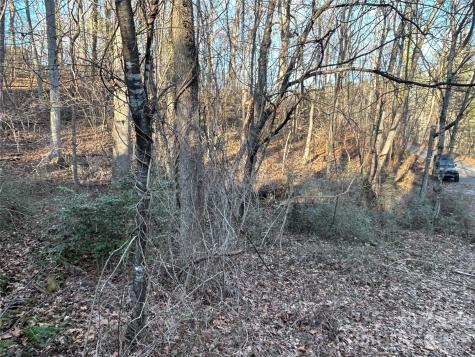 99999 Hickory Tree Road Asheville NC 28805