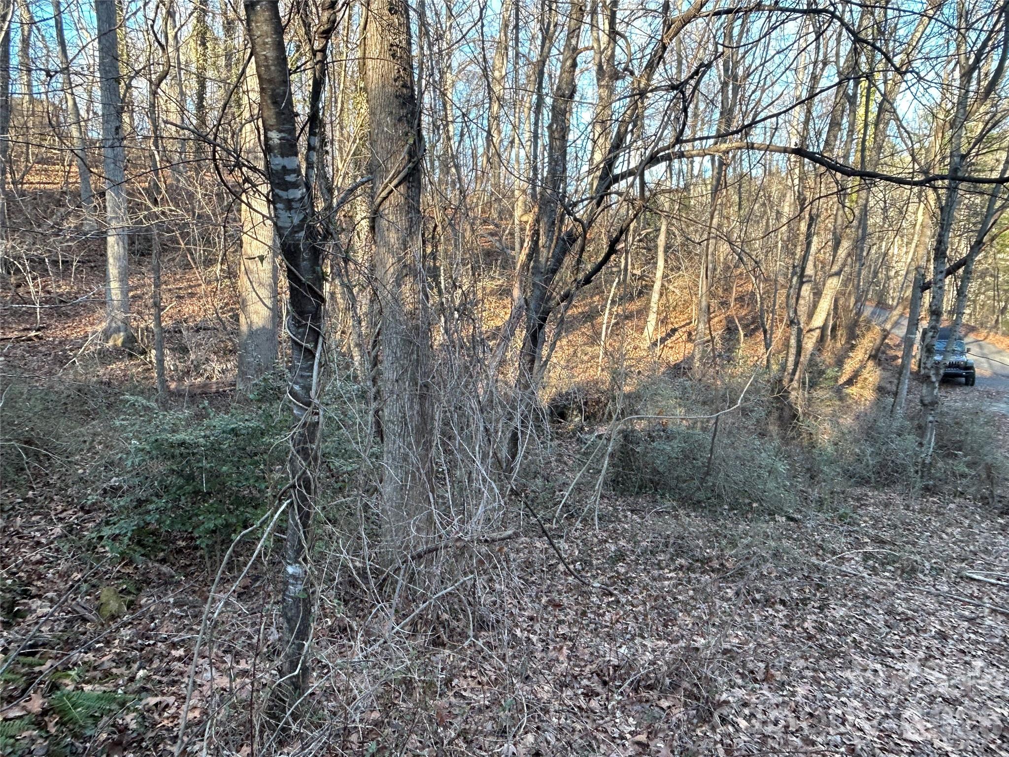 99999 Hickory Tree Road Asheville NC 28805