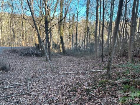 99999 Hickory Tree Road Asheville NC 28805