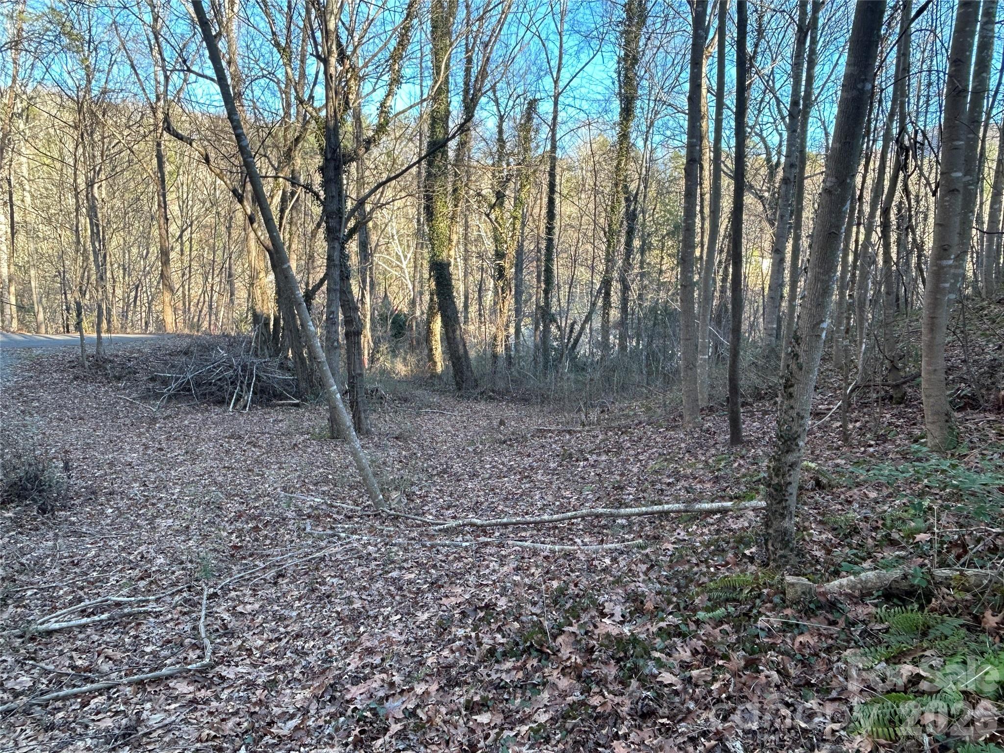 99999 Hickory Tree Road Asheville NC 28805