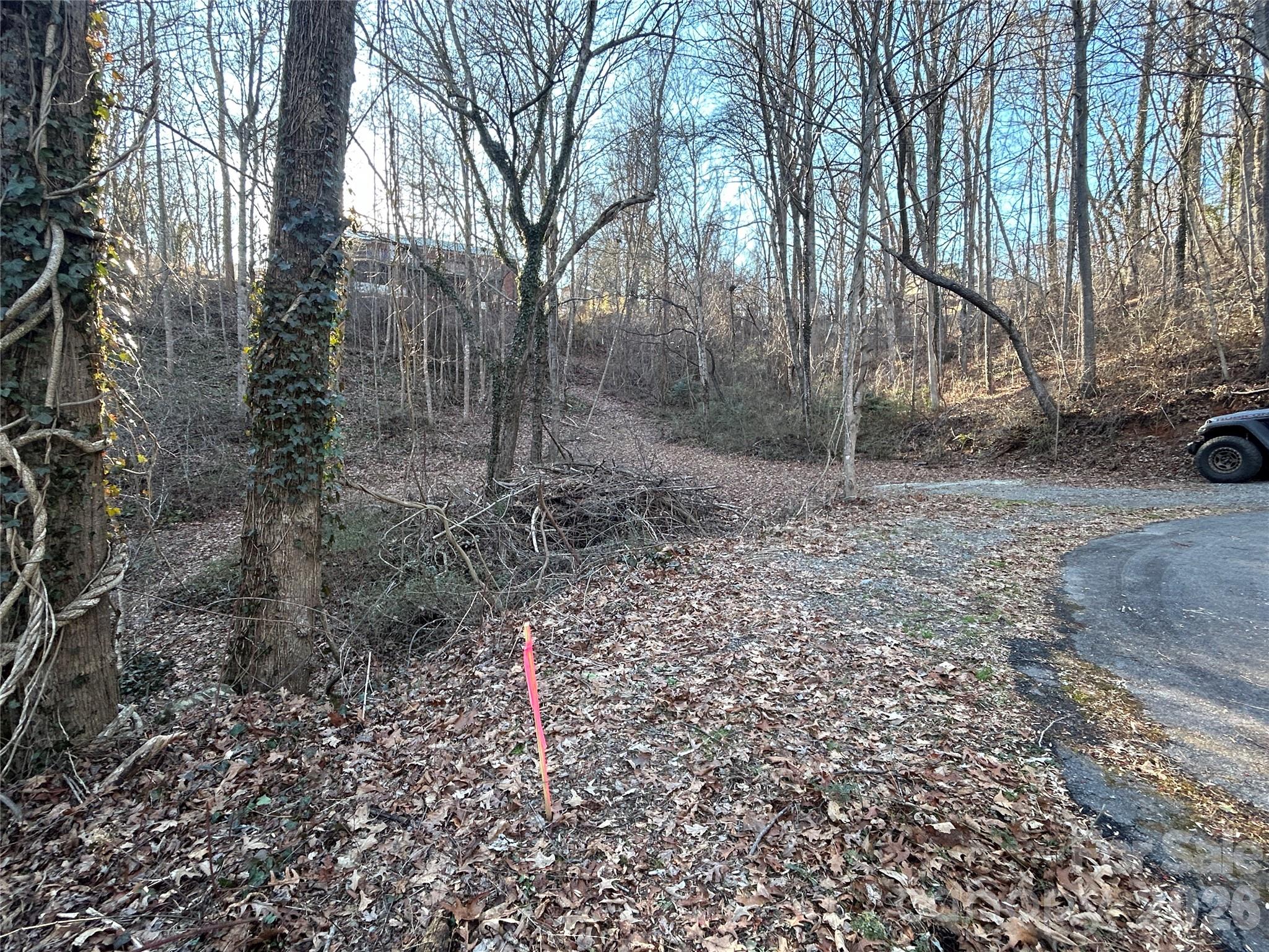 99999 Hickory Tree Road Asheville NC 28805