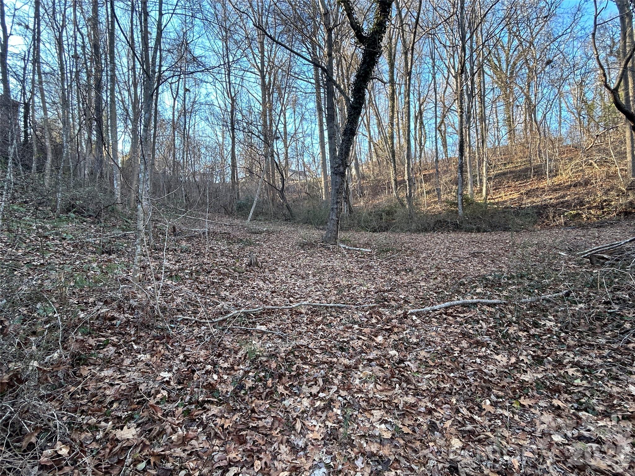 99999 Hickory Tree Road Asheville NC 28805