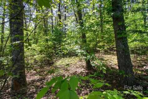 99999 Hickory Loop Rutherfordton NC 28139