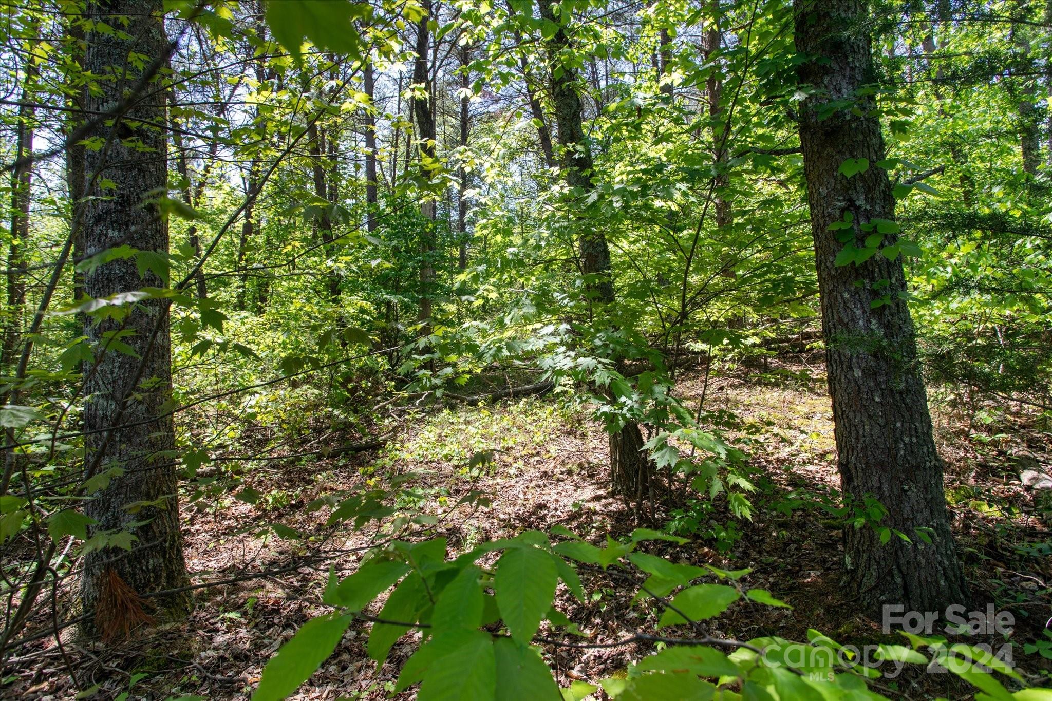 99999 Hickory Loop Rutherfordton NC 28139