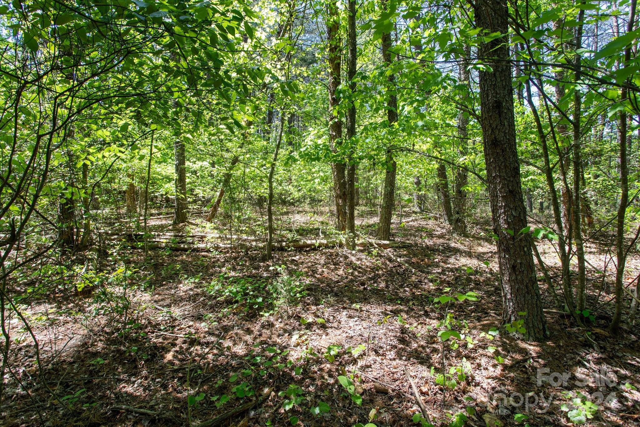 99999 Hickory Loop Rutherfordton NC 28139