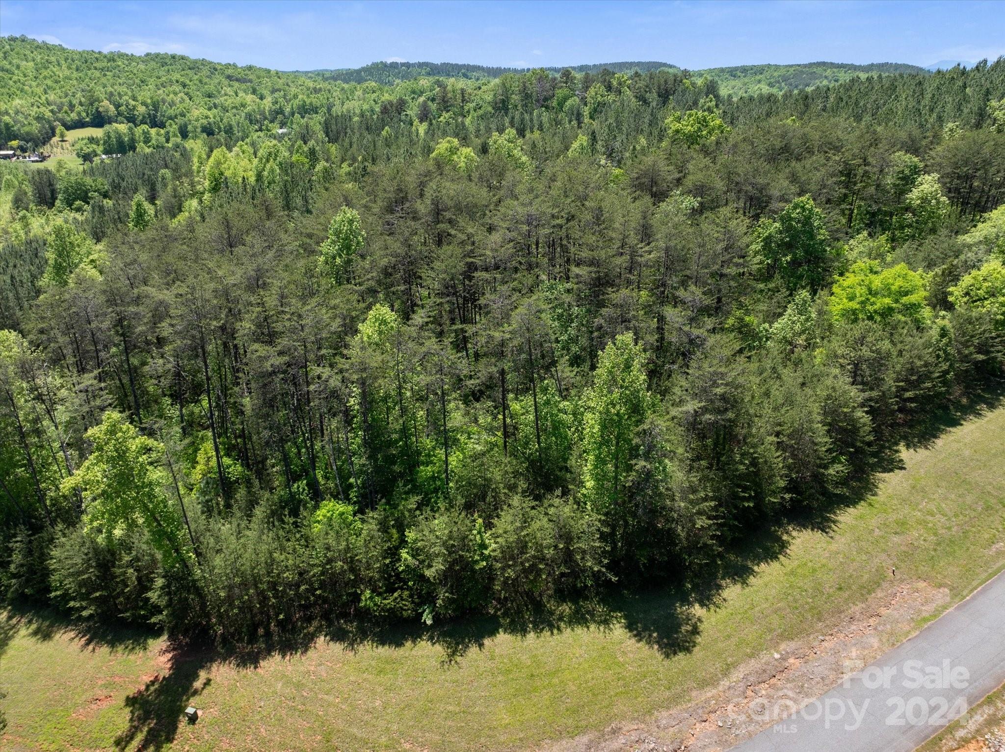 99999 Hickory Loop Rutherfordton NC 28139