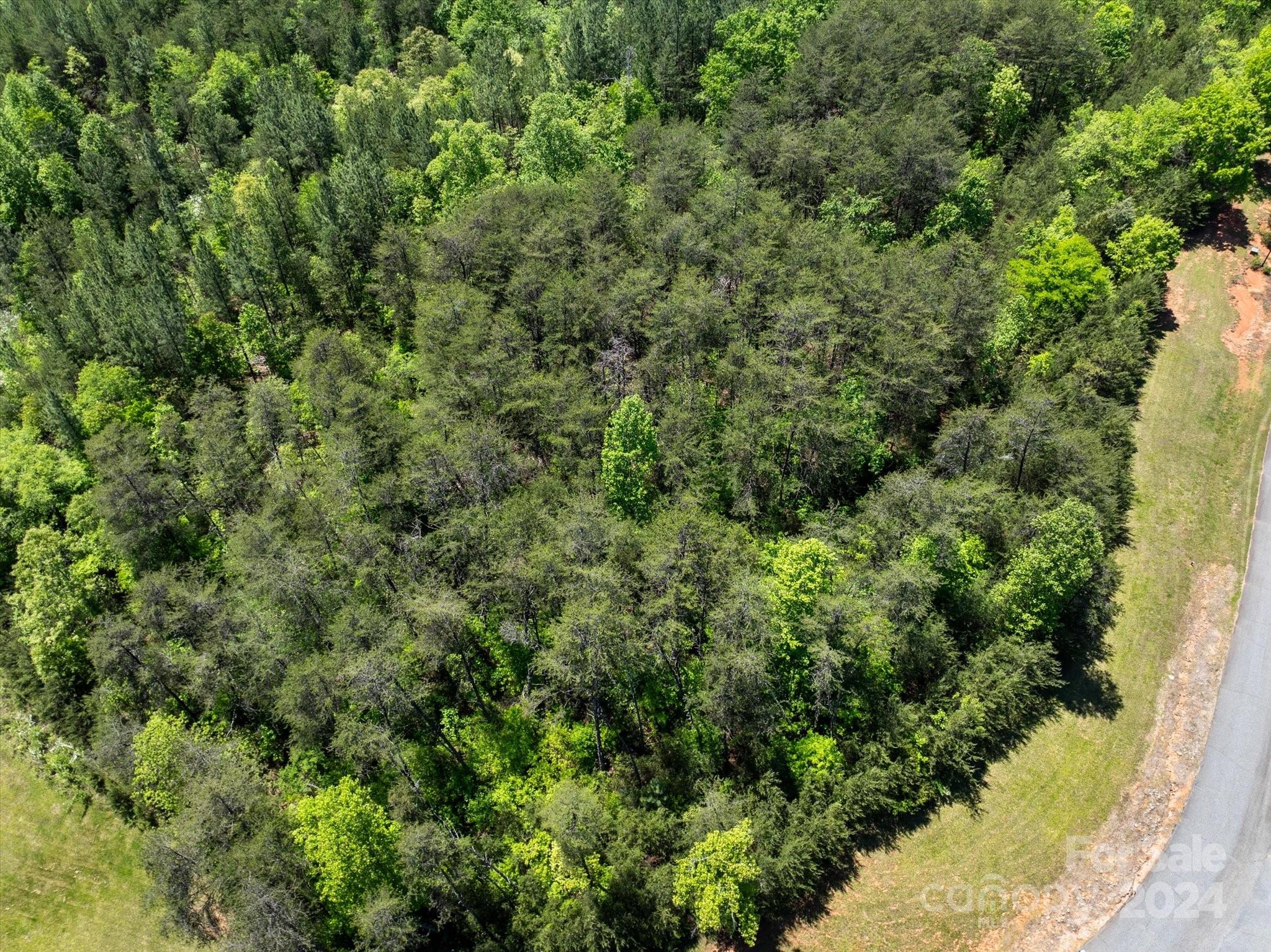 99999 Hickory Loop Rutherfordton NC 28139