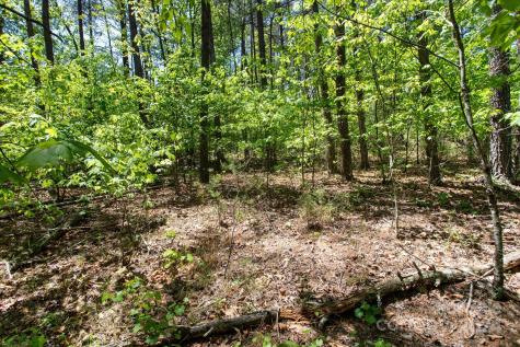 99999 Hickory Loop Rutherfordton NC 28139
