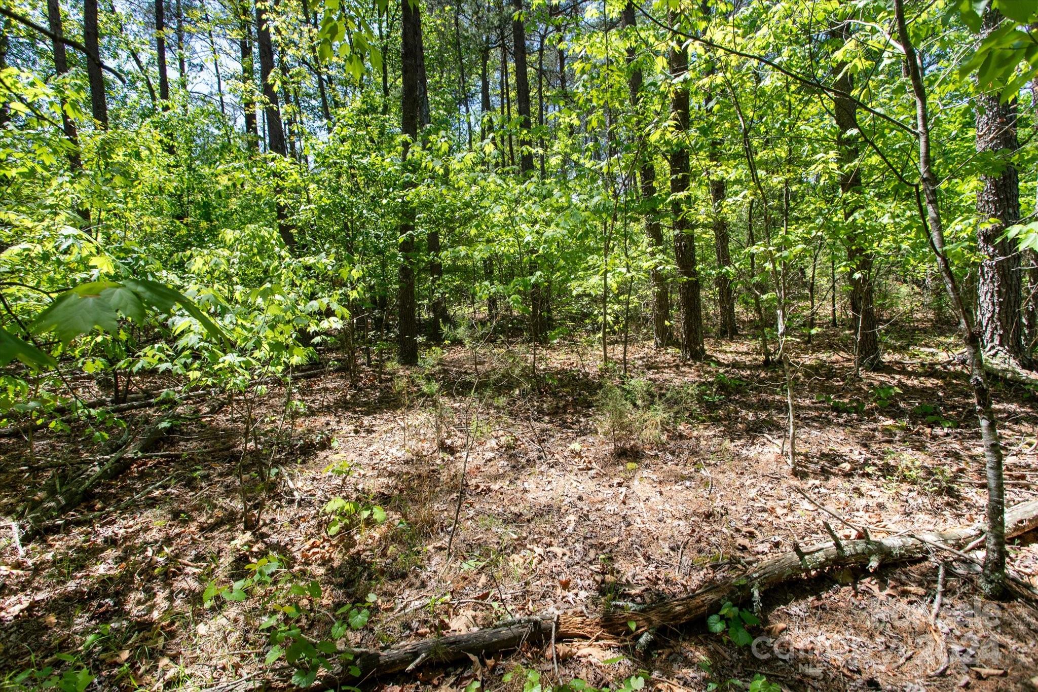 99999 Hickory Loop Rutherfordton NC 28139
