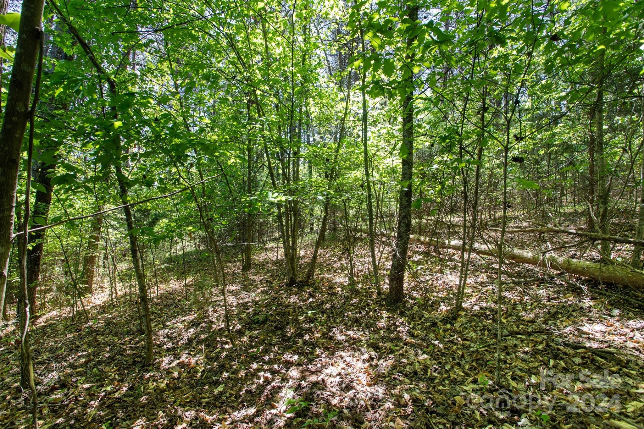99999 Hickory Loop Rutherfordton NC 28139